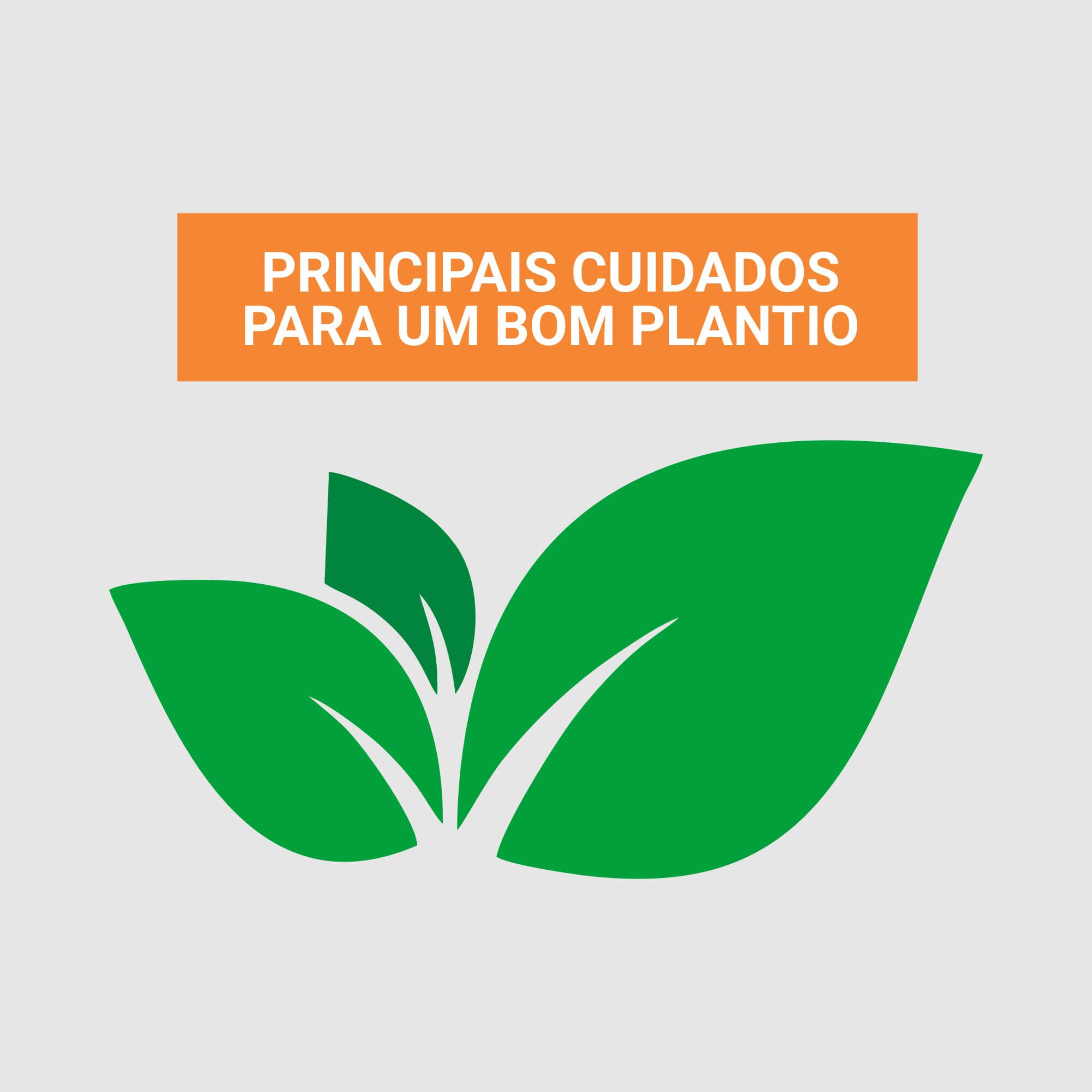 Dica 3